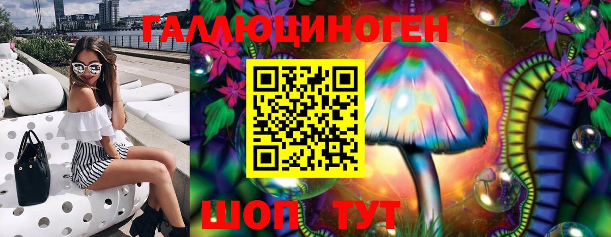 Псилоцибиновые грибы Psilocybe Кумертау