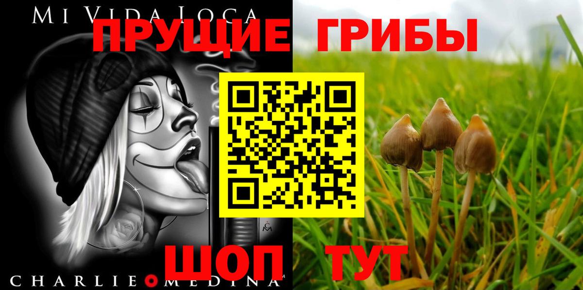Кумертау  где купить   Галлюциногенные грибы Magic Shrooms  Вход с VPN  Галлюциногенные грибы мухоморы 